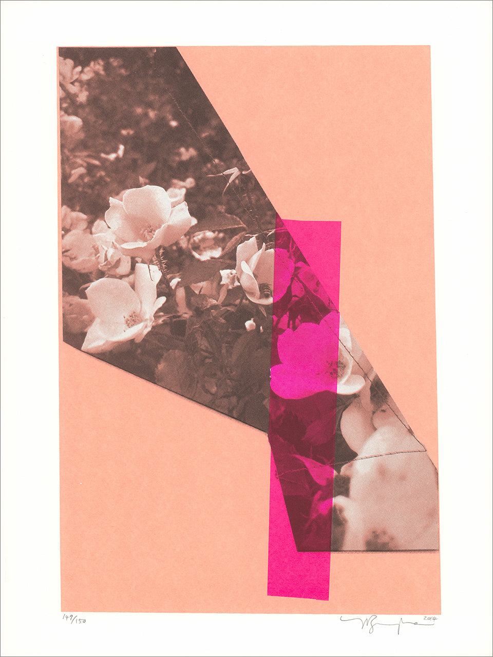 Jude Broughan: Brooklyn Botanical