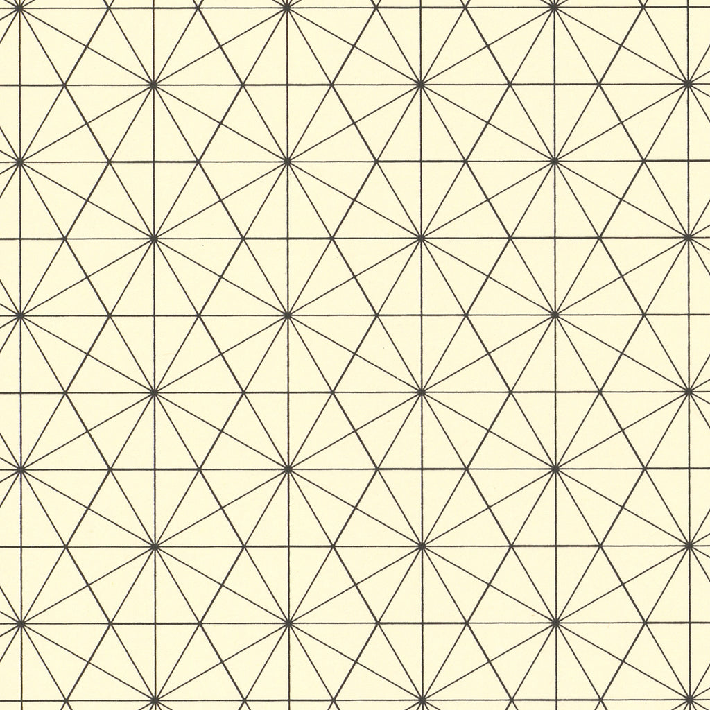 Black Bisected Hexagon Graph Paper | 18x24 Screenprint – Kayrock