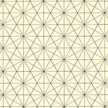 Black Bisected Hexagon Graph Paper