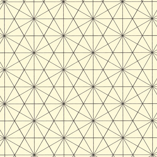 Black Bisected Hexagon Graph Paper