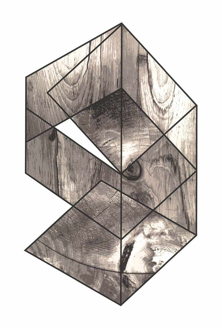 Michael Zelehoski: The Fourth Wall
