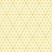 Orange Orthagonal Projection Graph Paper