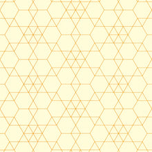 Orange Hexagon Echo Graph Paper