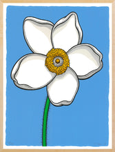 Scott Teplin: Sundrop Windflower