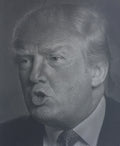 Alfred Steiner, Trump (Clinton), screenprint