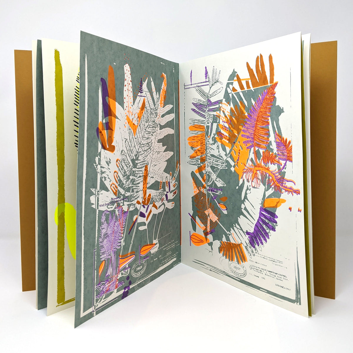 Melissa Oresky: Finder