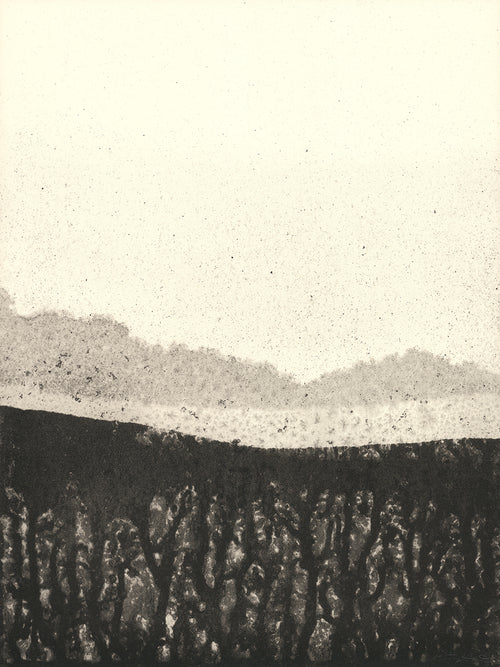 Black and gray screenprint of an ink-soaked abstract landscape: a speckled pale sky over a dark textured band