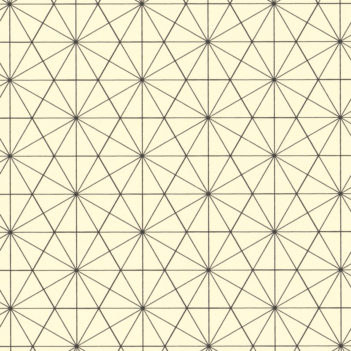 Black Bisected Hexagon Graph Paper