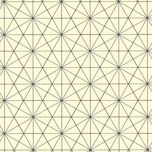 Black Bisected Hexagon Graph Paper