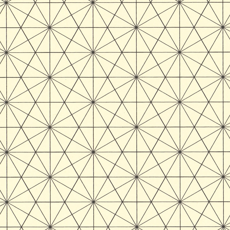Black Bisected Hexagon Graph Paper – Kayrock Screenprinting