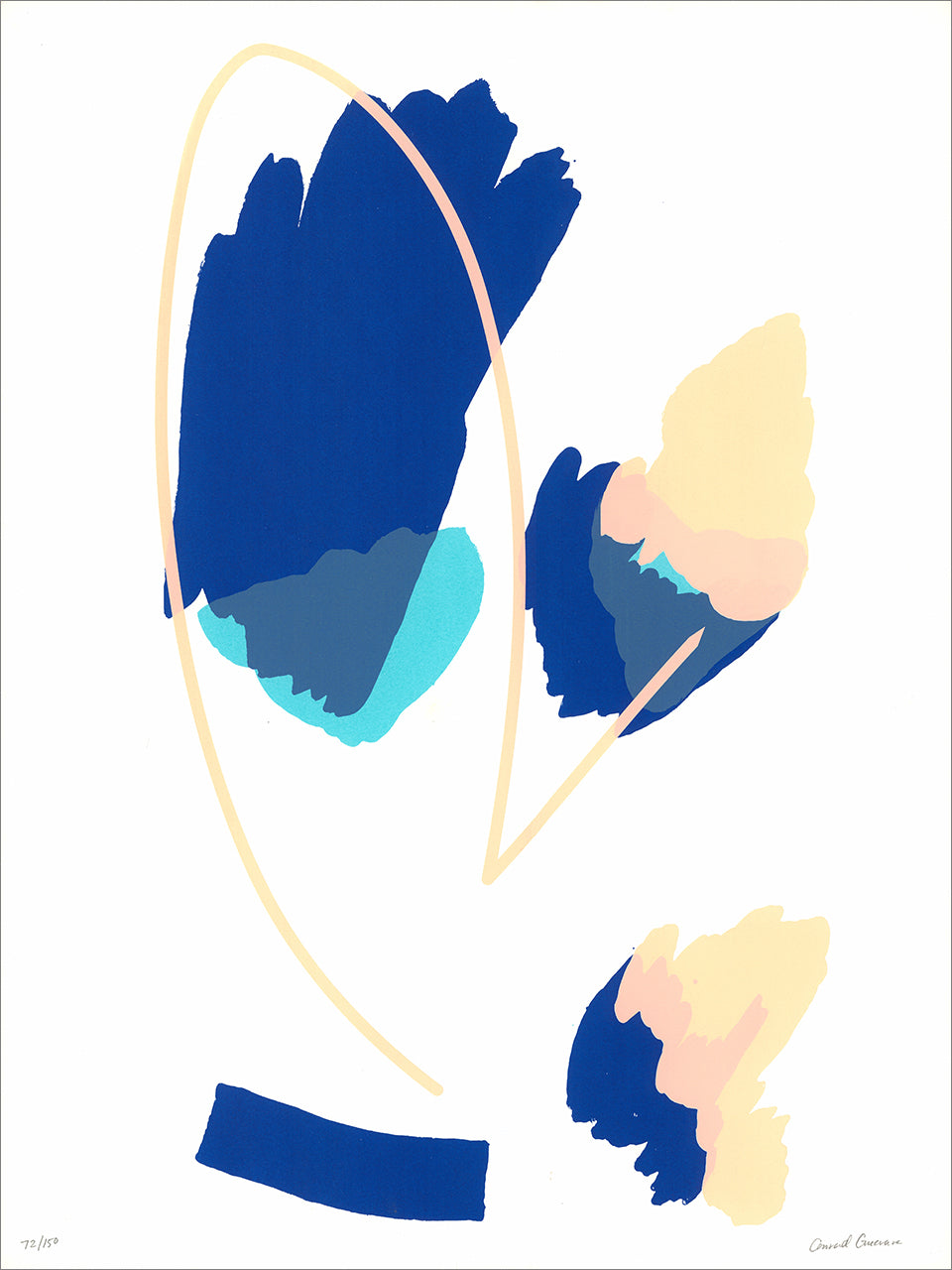 Screenprint of loose brushy petal shapes in navy, cyan and peach with a thin cream outline on white