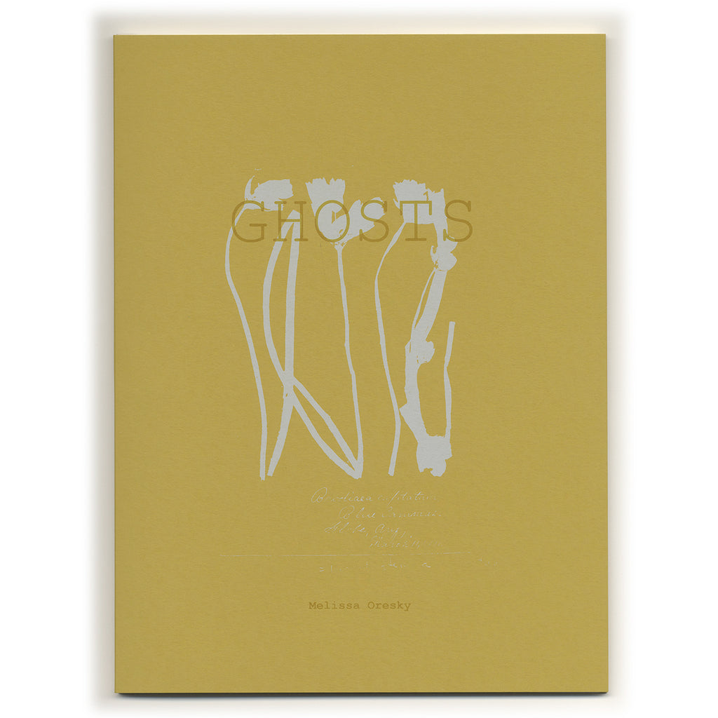 Melissa Oresky: Ghosts