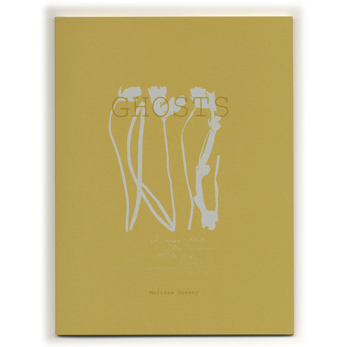 Melissa Oresky: Ghosts