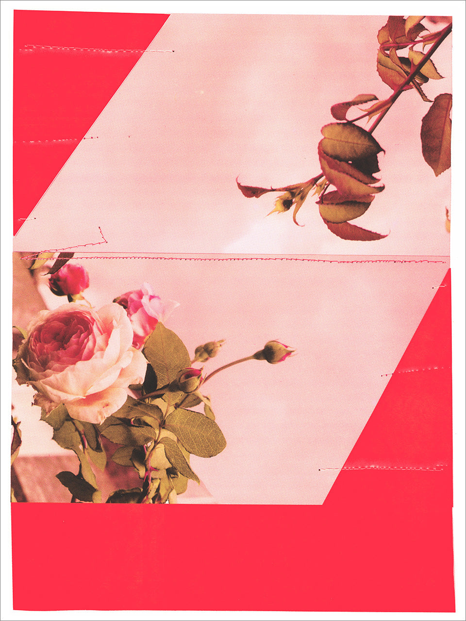 Hot pink screenprint framing a faded halftone photo of pink roses on a pale pink ground with stitched lines