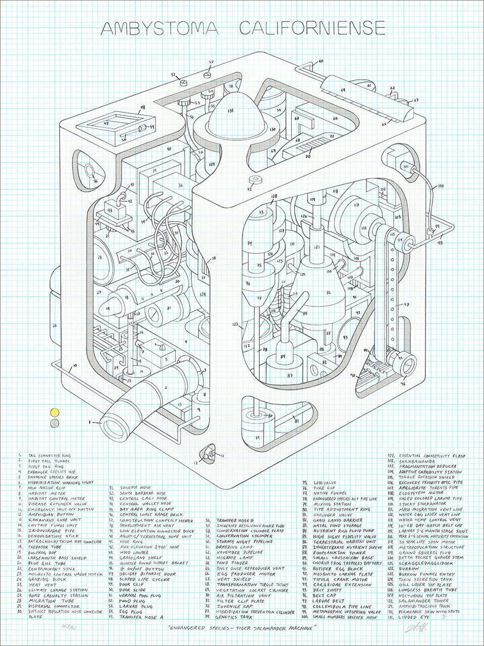 Pale blue grid-paper screenprint of a schematic machine drawing labeled Ambystoma Californiense with a numbered parts list