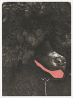 Dark brown and gray screenprint of a close-up of a shaggy curly-coated dog with a pink tongue and a chain collar