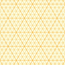 Orange Orthagonal Projection Graph Paper