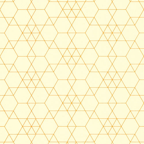 Orange Hexagon Echo Graph Paper