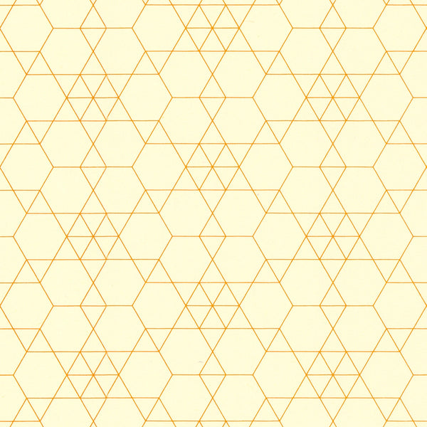 Orange Hexagon Echo Graph Paper