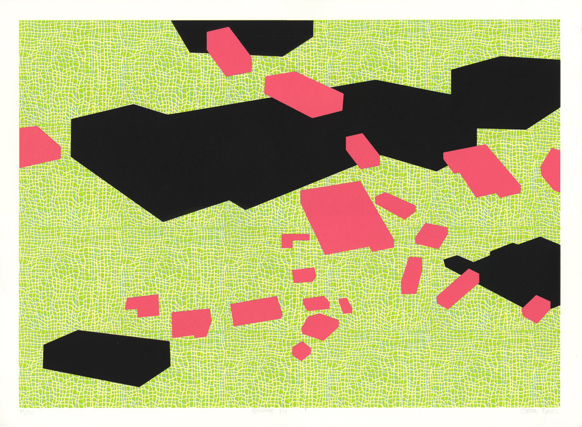 Steven Baris: Rhiome P1 2012