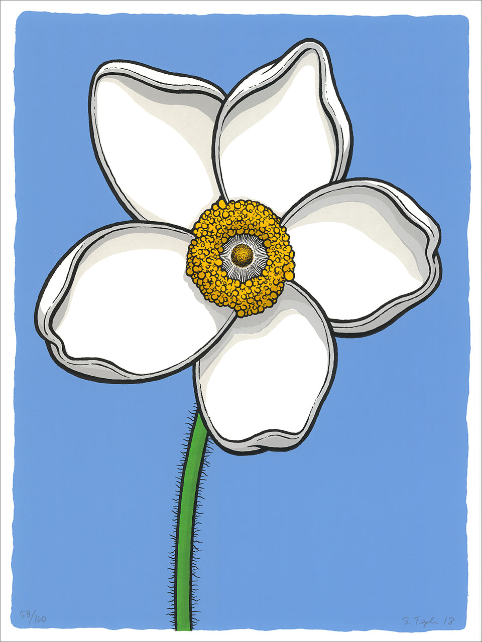 Screenprint of a large white five-petal flower with a yellow center on a green stem against periwinkle blue