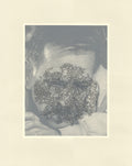 Eli Lehrhoff: Quincy M.E
